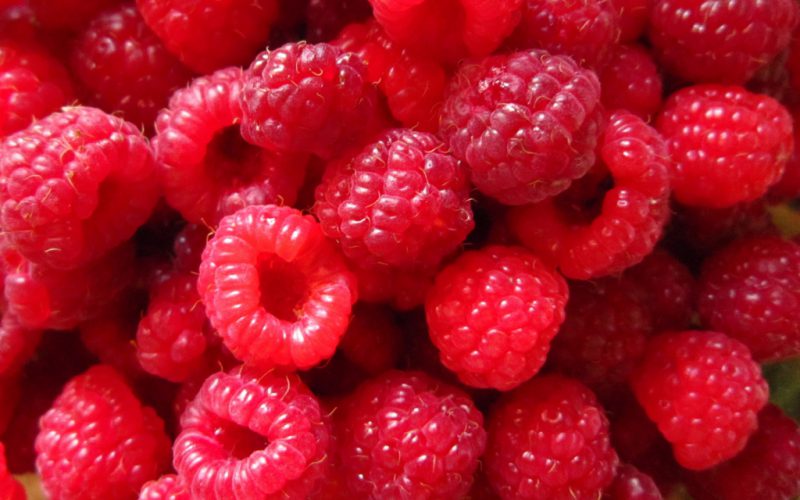 Red-Raspberry-berries-close-up-photography_1920x1200[1]