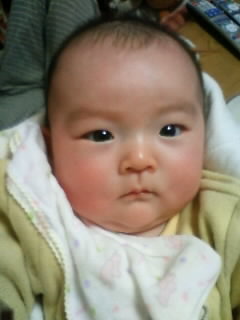 2008年10月31 誕生 佐藤　澪 ちゃん [2008年6月14日ご結婚 佐藤寛士・麻美様ご夫妻の長女]