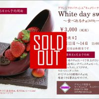 2019ヒール